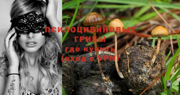 молекула духа Аркадак