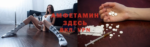 мяу мяу мука Няндома