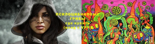 молекула духа Аркадак